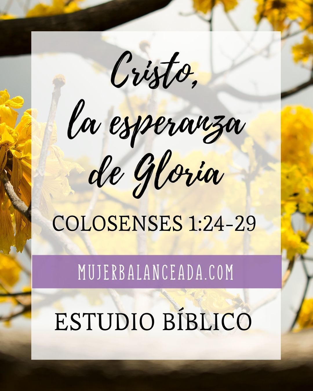 La Naturaleza de Cristo: Colosenses 1:15-23